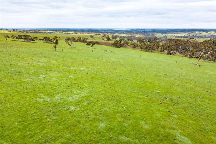 Fourth view of Homely acreageSemiRural listing, 533 & 551 Signal Flat Road, Ashbourne SA 5157