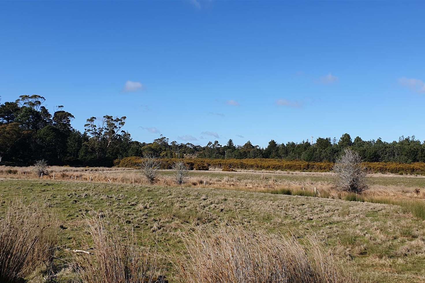 Main view of Homely residentialLand listing, 52 Gibbs Street, Beaconsfield TAS 7270