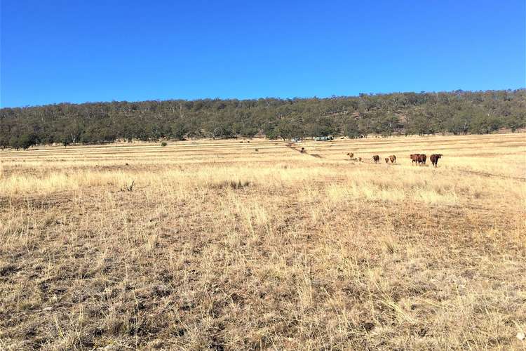 Second view of Homely ruralOther listing, Lot 5 Moar Road, Pilton QLD 4361
