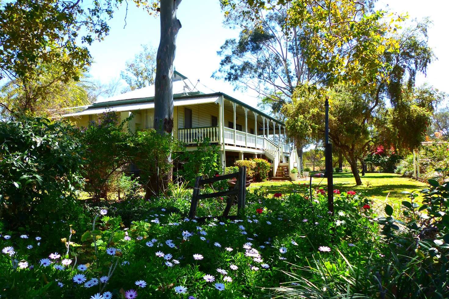 Main view of Homely ruralOther listing, 'Gladys Downs' 869 Old Tambo Road, Augathella QLD 4477