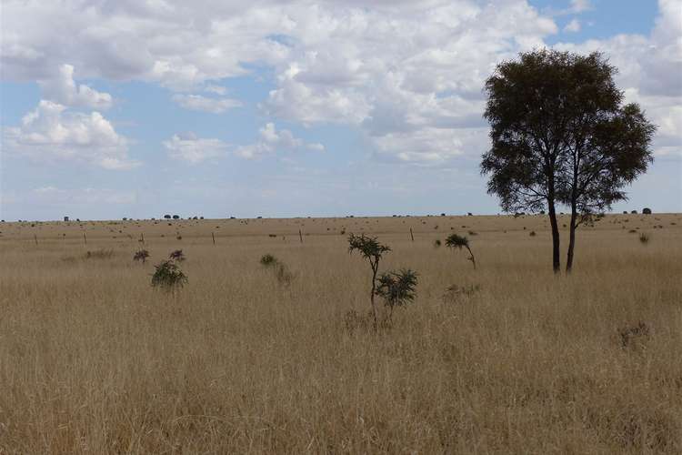 Seventh view of Homely ruralOther listing, 'Gladys Downs' 869 Old Tambo Road, Augathella QLD 4477