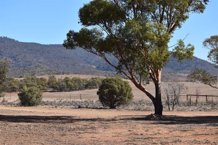 Main view of Homely acreageSemiRural listing, 182 Pinkerton Road, Quorn SA 5433