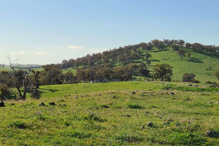 Sixth view of Homely ruralOther listing, Salt Clay Road, Cootamundra NSW 2590