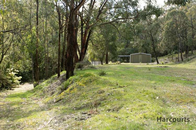 Second view of Homely ruralOther listing, 355 Becks Bridge, Tanjil South VIC 3825