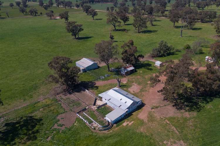 Second view of Homely ruralOther listing, 44 Chesney Road, Goorambat VIC 3725