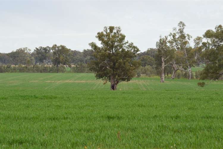 Third view of Homely ruralOther listing, 3931 Old Narrandera Road, Currawarna via, Wagga Wagga NSW 2650