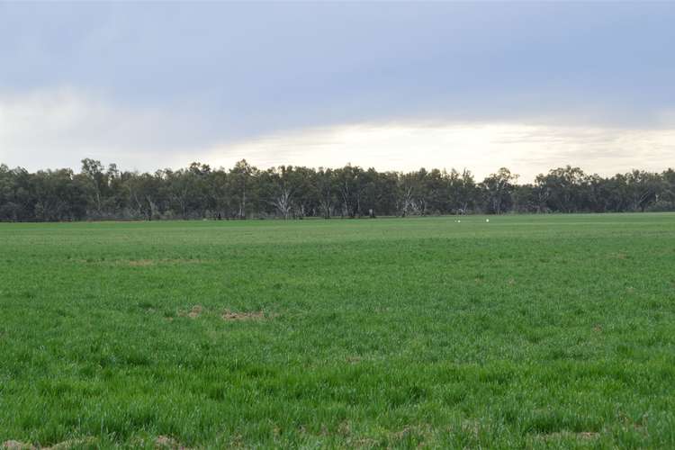 Seventh view of Homely ruralOther listing, 3931 Old Narrandera Road, Currawarna via, Wagga Wagga NSW 2650