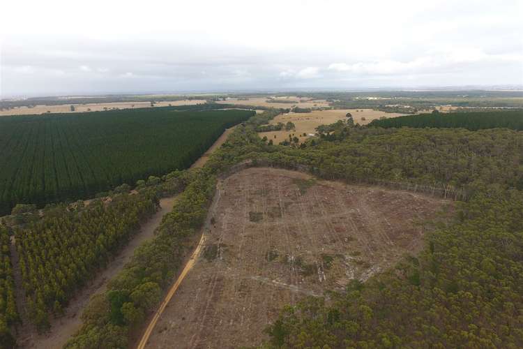 Third view of Homely ruralOther listing, "Mt Mercer Road" Colac-Ballarat Road, Enfield VIC 3352