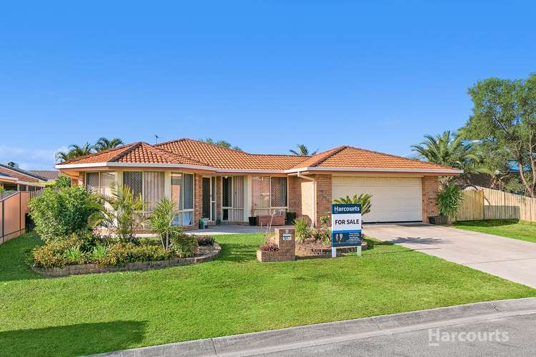 Main view of Homely house listing, 34 Teak Street, Rothwell QLD 4022