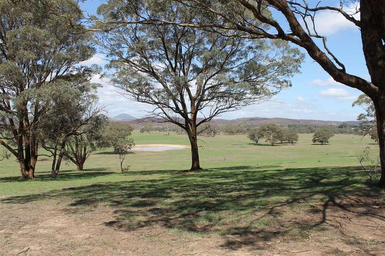 Fifth view of Homely ruralOther listing, 1050 Little Bombay Road - Yellow Box Ridge, Braidwood NSW 2622