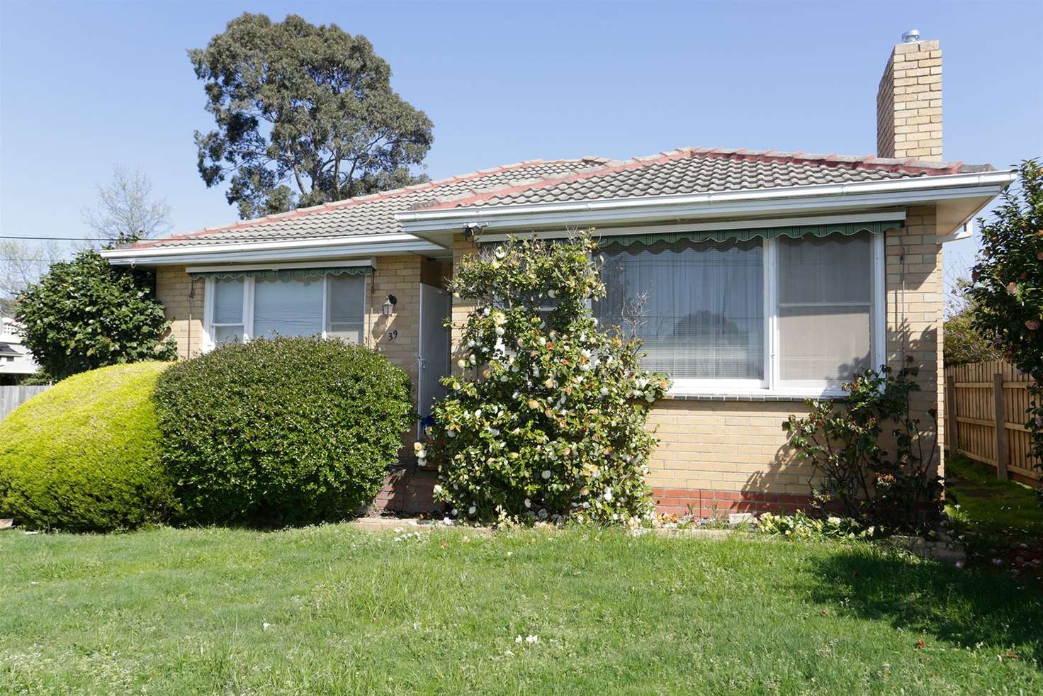 Main view of Homely house listing, 39 Fernhill Street, Glen Waverley VIC 3150