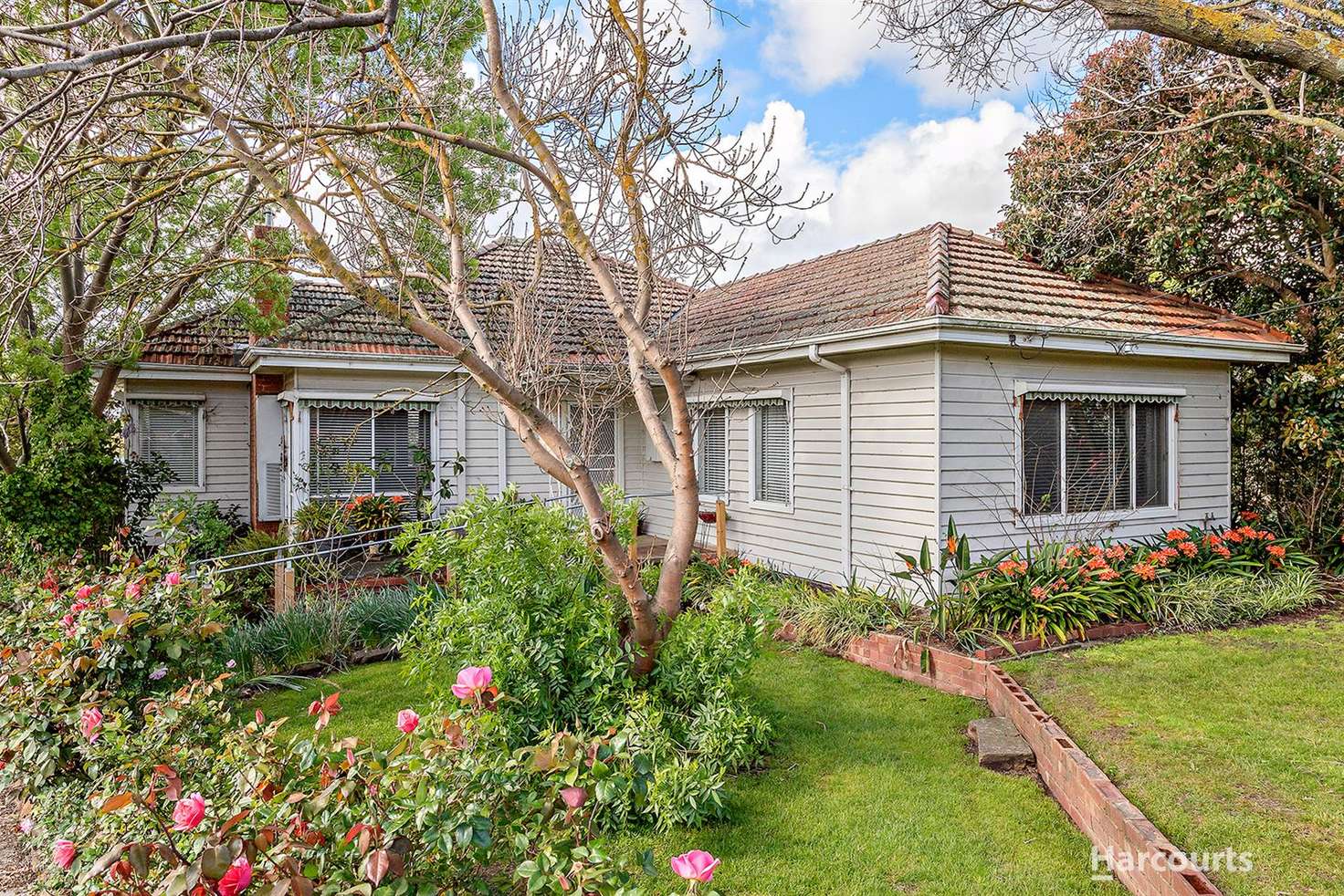 Main view of Homely house listing, 20 Joyhill Avenue, Box Hill South VIC 3128