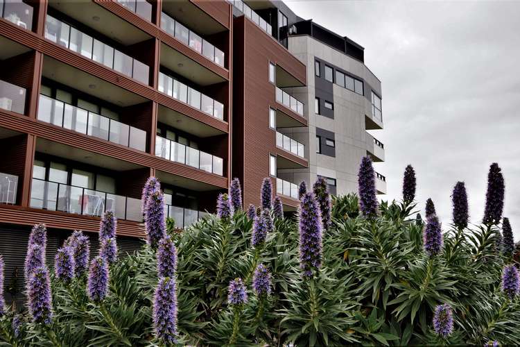 Main view of Homely apartment listing, 111/88 La Scala Avenue, Maribyrnong VIC 3032