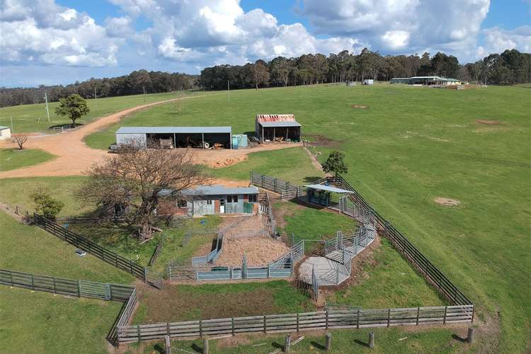 Fourth view of Homely ruralOther listing, 1034 Tindale Road, Denmark WA 6333