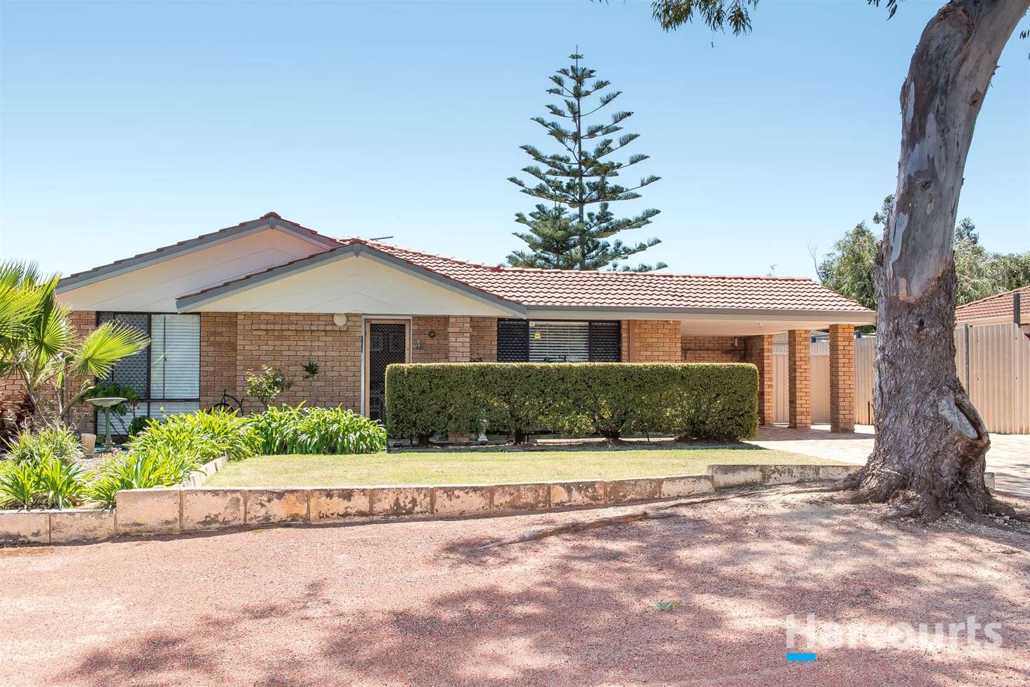 Main view of Homely house listing, 31 Periwinkle Road, Mullaloo WA 6027