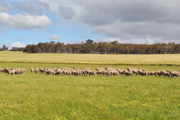 Main view of Homely ruralOther listing, ' The Brook ', Cranbrook WA 6321