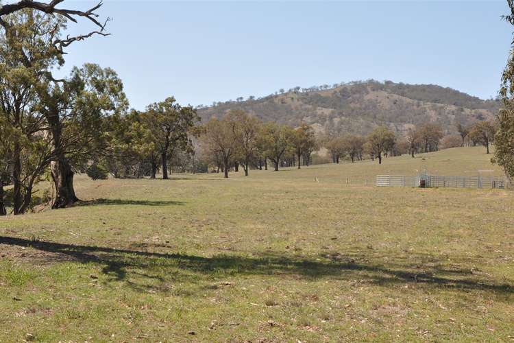 Sixth view of Homely ruralOther listing, . "Jura" Waverley Rd, Gundy via, Scone NSW 2337