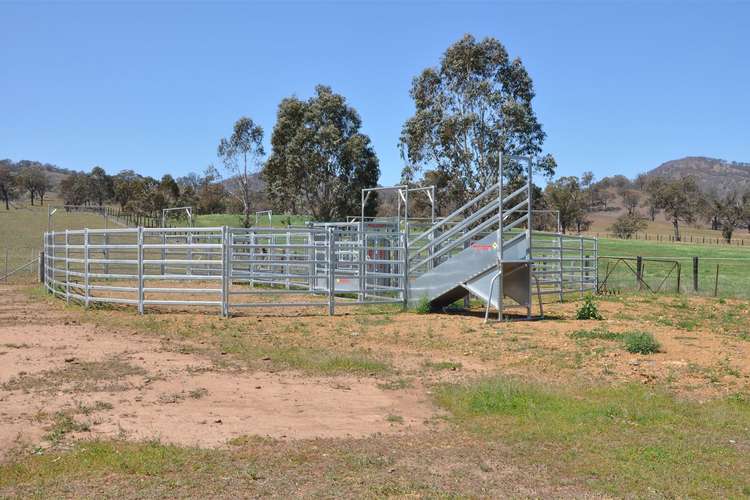 Seventh view of Homely ruralOther listing, . "Jura" Waverley Rd, Gundy via, Scone NSW 2337