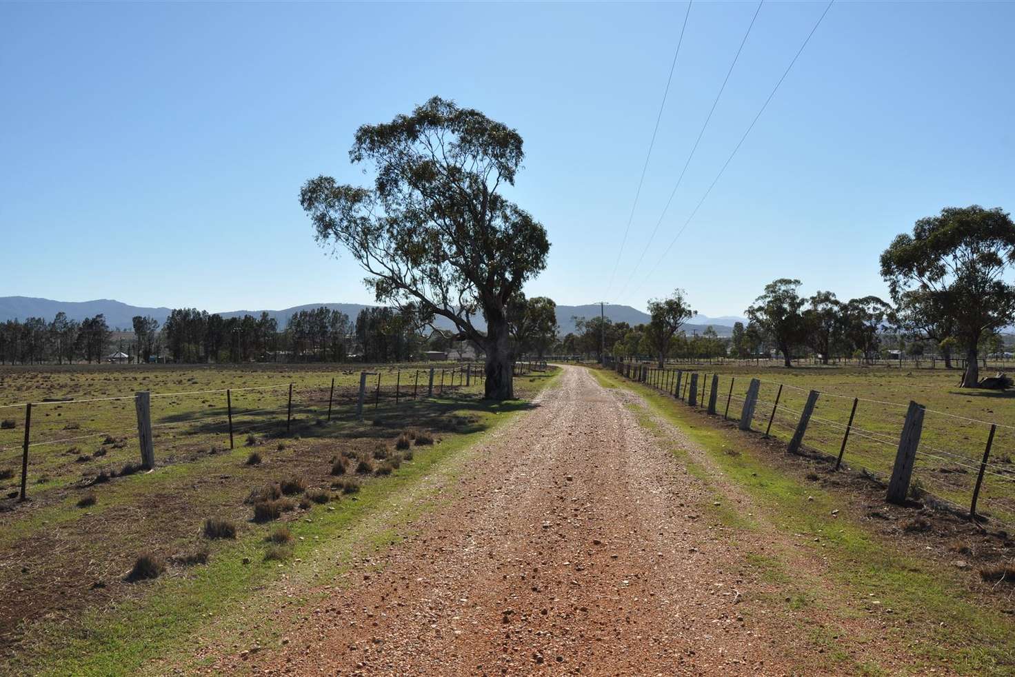 Main view of Homely ruralOther listing, 66 Nandowra Rd, Scone NSW 2337