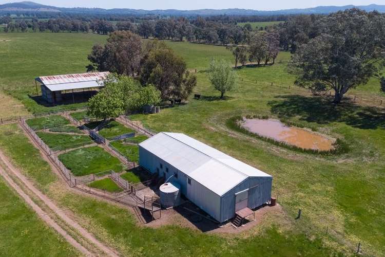 Fourth view of Homely ruralOther listing, 553 Moyhu-Hansonville Road, Hansonville VIC 3675