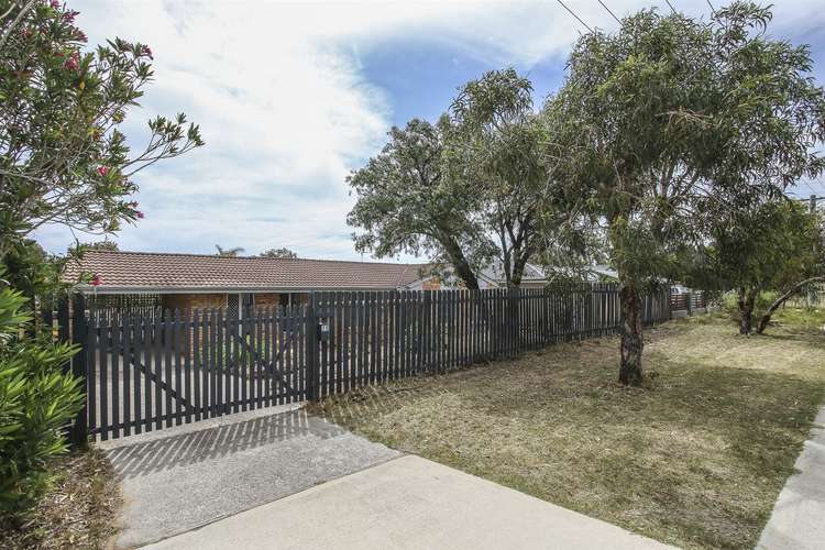 Main view of Homely house listing, 29 Southwell Crescent, Hamilton Hill WA 6163