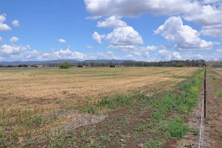 Third view of Homely ruralOther listing, 3133 New England Hwy, Scone NSW 2337