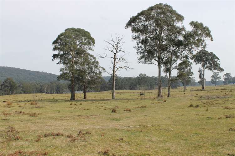 Fourth view of Homely ruralOther listing, 4336 Kings Highway, Braidwood NSW 2622