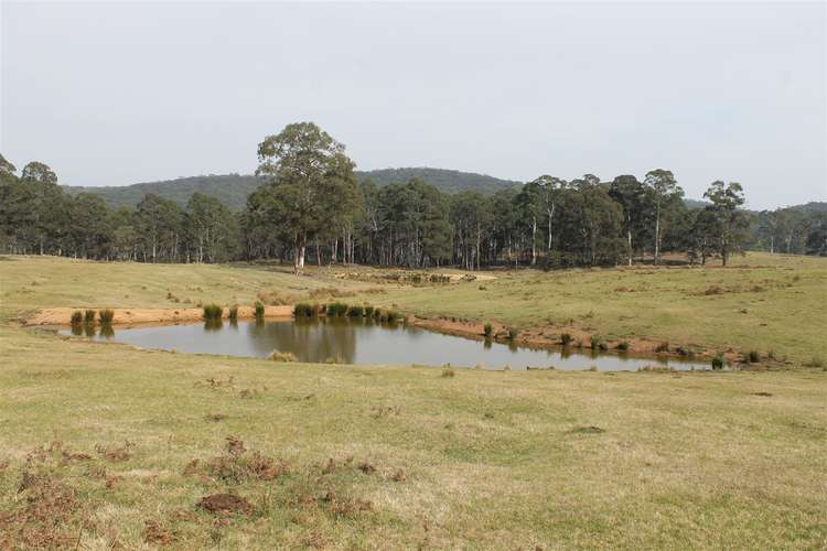 Sixth view of Homely ruralOther listing, 4336 Kings Highway, Braidwood NSW 2622