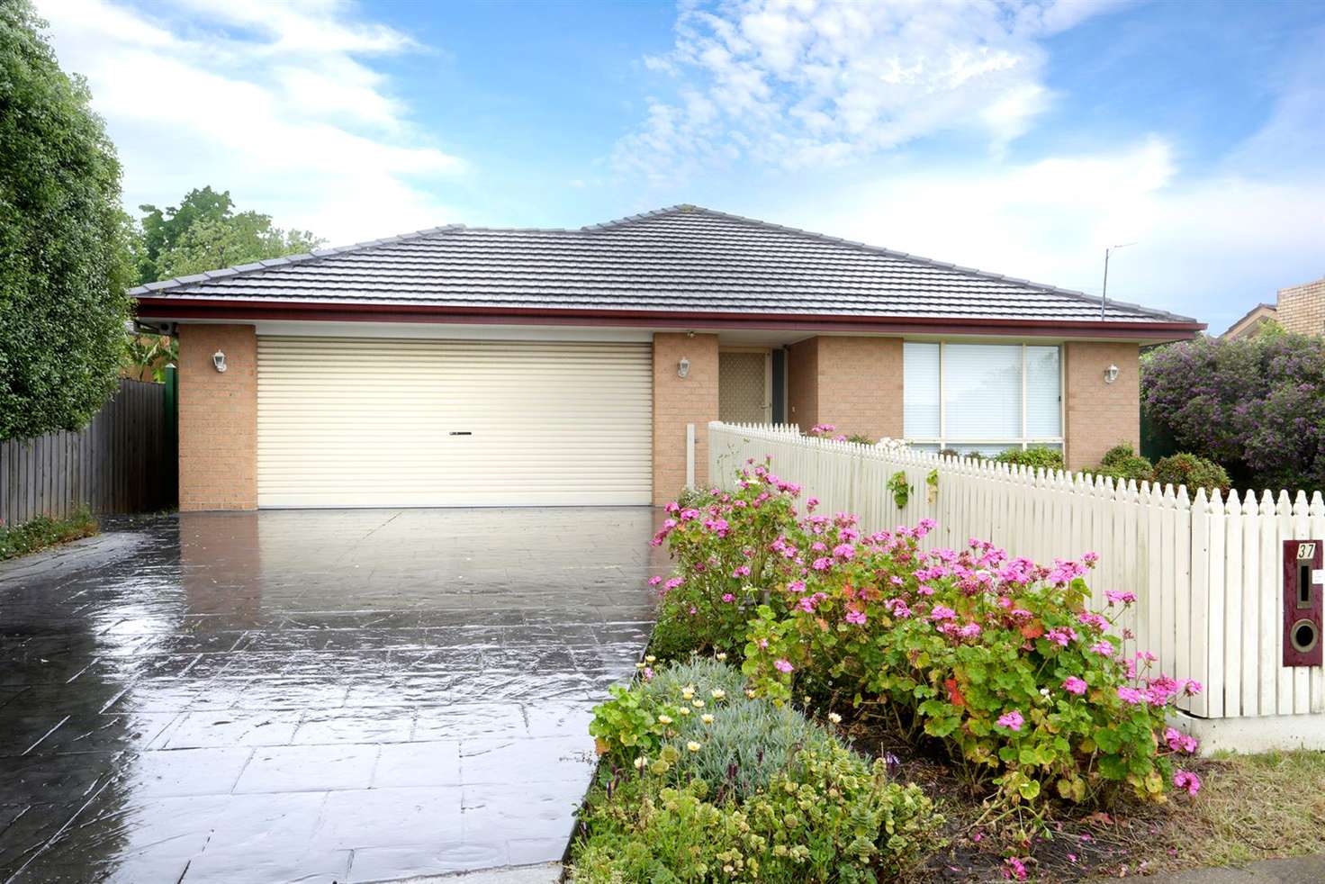 Main view of Homely house listing, 37 Charlton Street, Mount Waverley VIC 3149
