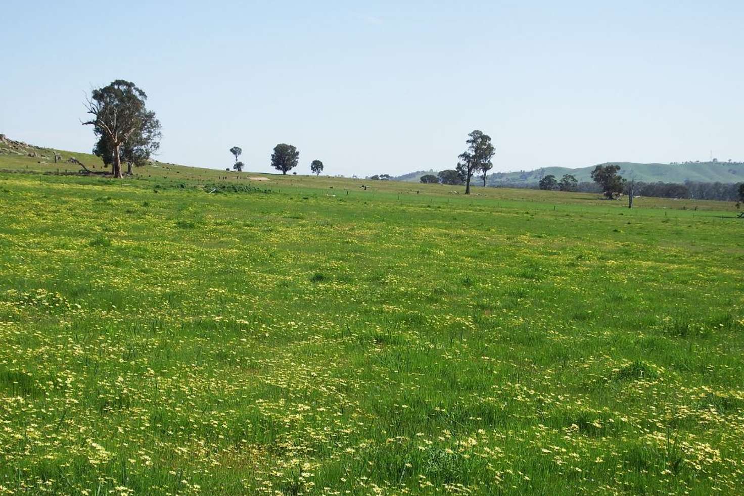 Main view of Homely ruralOther listing, 547 Longwood-Mansfield Road, Creightons Creek VIC 3666