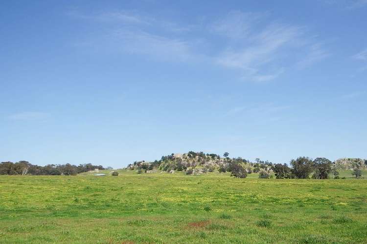 Sixth view of Homely ruralOther listing, 547 Longwood-Mansfield Road, Creightons Creek VIC 3666