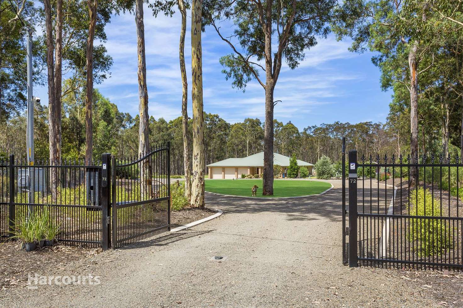 Main view of Homely house listing, 72 Hakea Close, Nowra Hill NSW 2540