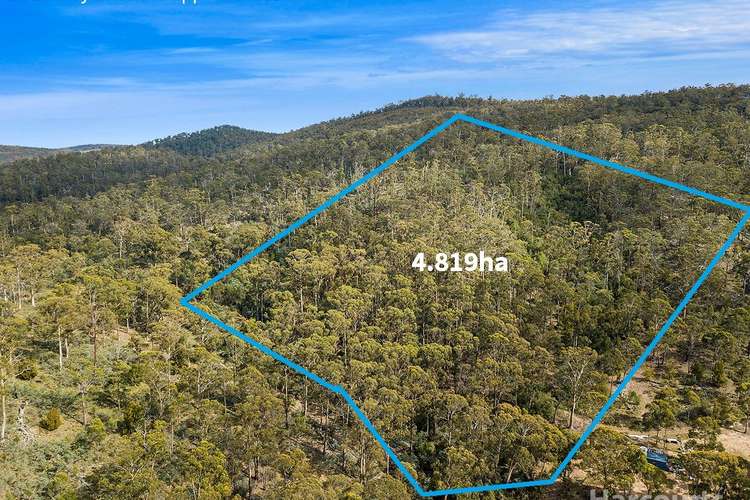 Lot 1 Nugent Road, Wattle Hill TAS 7172