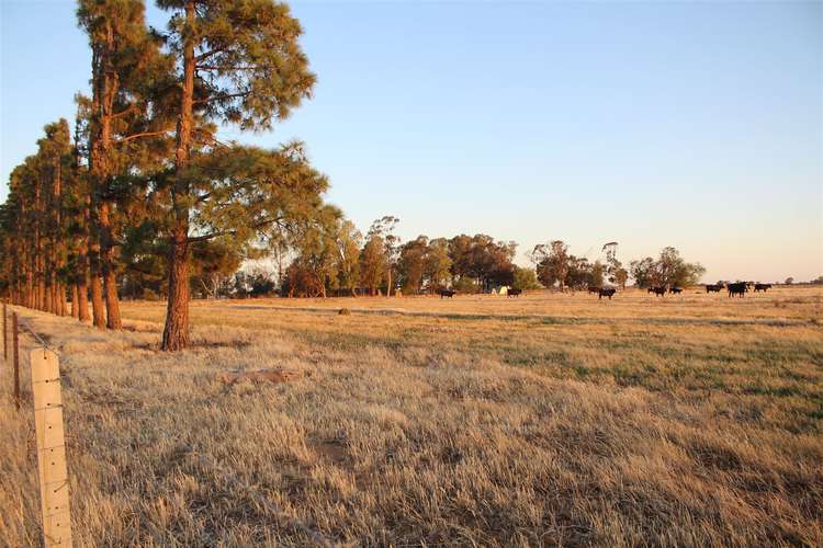 Main view of Homely ruralOther listing, 835 Bunnaloo Road, Mathoura NSW 2710