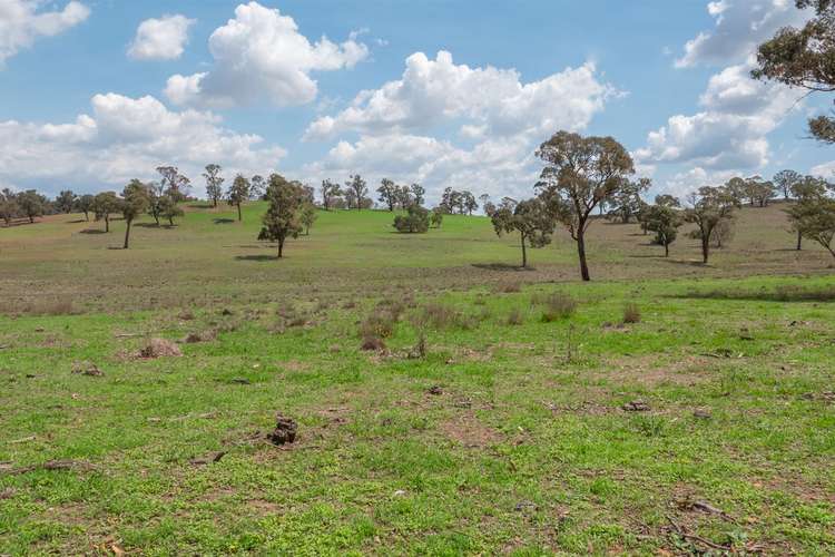 Third view of Homely ruralOther listing, 13520 Thunderbolts Way, Walcha NSW 2354