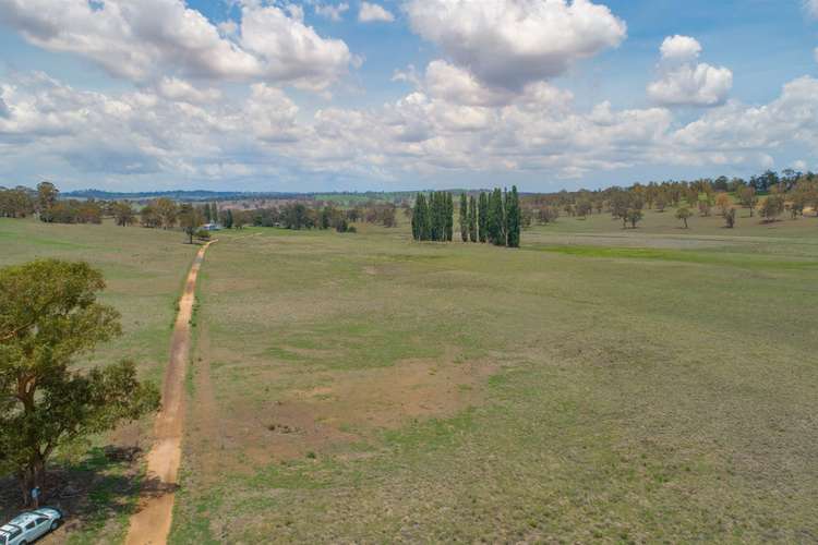 Sixth view of Homely ruralOther listing, 13520 Thunderbolts Way, Walcha NSW 2354