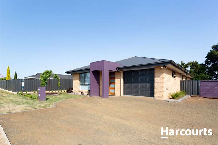 Sixth view of Homely house listing, 31 Beattie St, Scottsdale TAS 7260