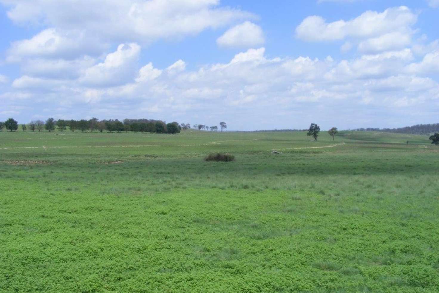 Main view of Homely ruralOther listing, 541 New England Highway, Glen Innes NSW 2370