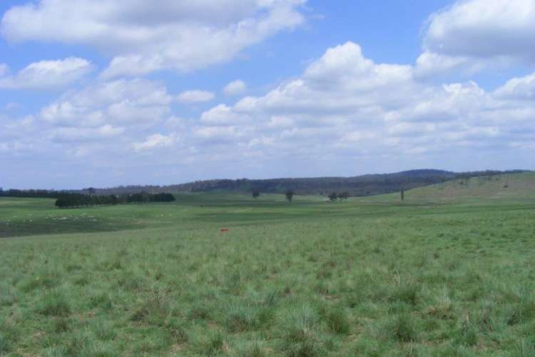 Third view of Homely ruralOther listing, 541 New England Highway, Glen Innes NSW 2370