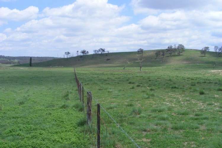 Seventh view of Homely ruralOther listing, 541 New England Highway, Glen Innes NSW 2370