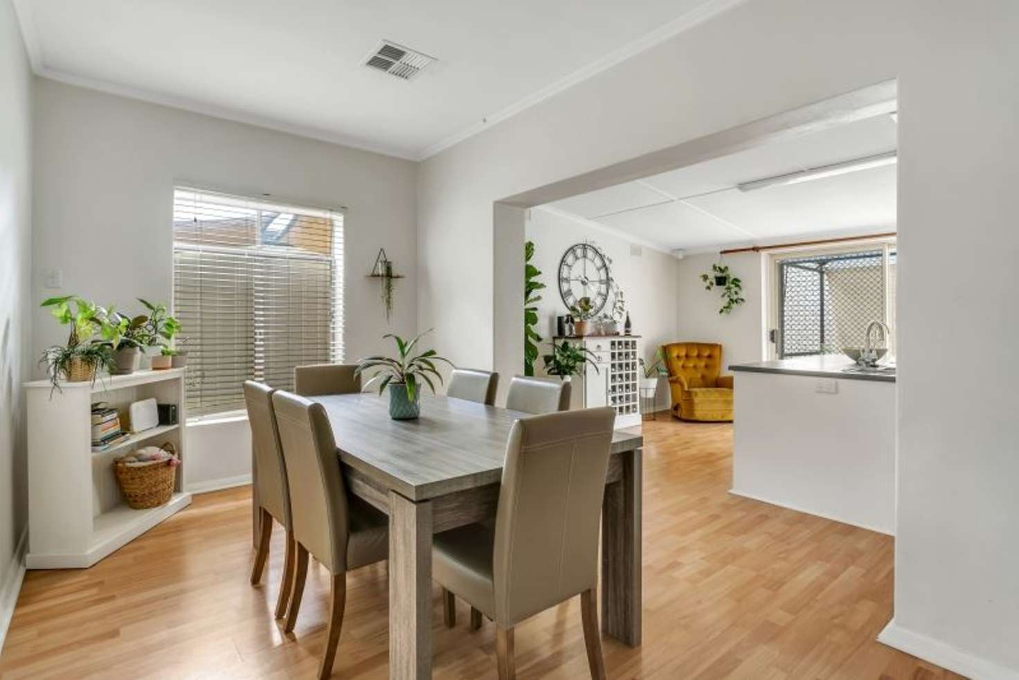 Main view of Homely house listing, 19 Mortimer Street, Kurralta Park SA 5037