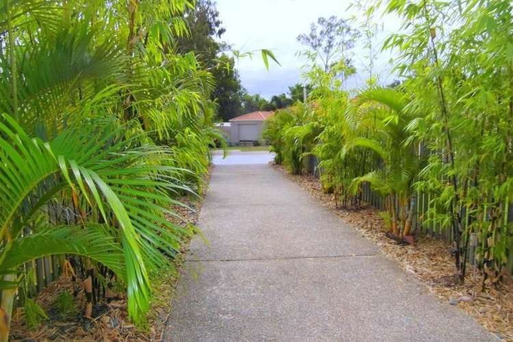 Second view of Homely studio listing, 79 Daintree Drive, Parkwood QLD 4214