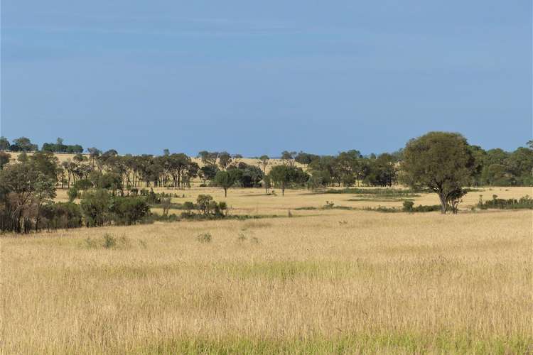 Sixth view of Homely ruralOther listing, . "Hurdle Estate", Roma QLD 4455