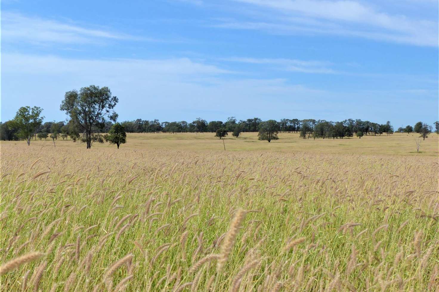 Main view of Homely ruralOther listing, . "Telco", Roma QLD 4455