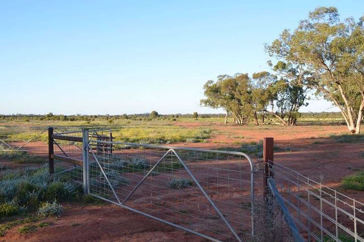 Main view of Homely ruralOther listing, * The Top Block, Cobar NSW 2835