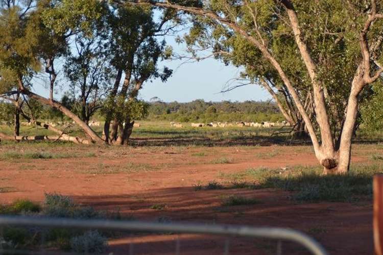 Second view of Homely ruralOther listing, * The Top Block, Cobar NSW 2835