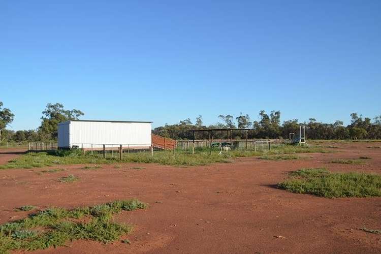 Fifth view of Homely ruralOther listing, * The Top Block, Cobar NSW 2835