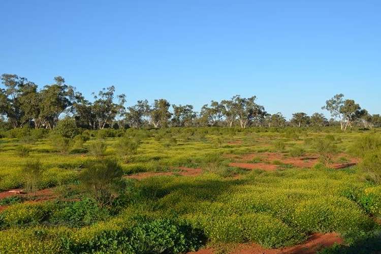 Seventh view of Homely ruralOther listing, * The Top Block, Cobar NSW 2835