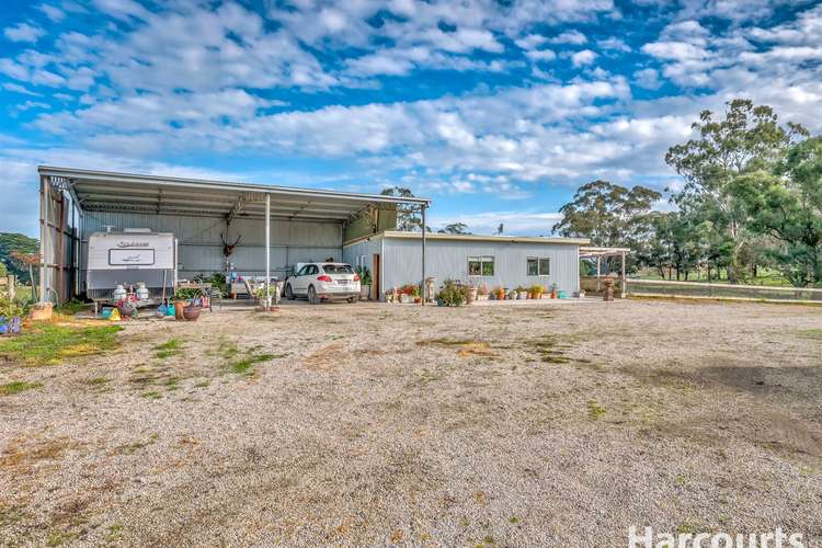 Fifth view of Homely ruralOther listing, 258 Becks Bridge Road, Tanjil South VIC 3825