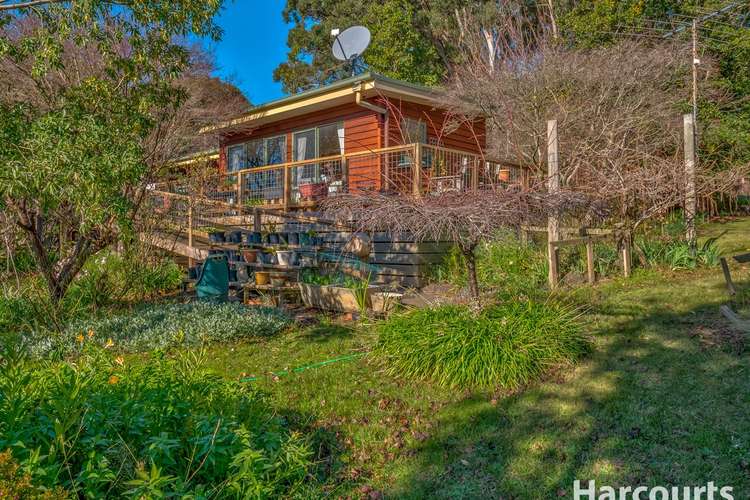 Seventh view of Homely ruralOther listing, 709 Nilma Shady Creek Road, Nilma North VIC 3821